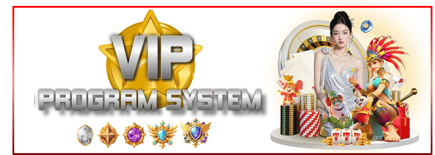 VIP Program Model Image